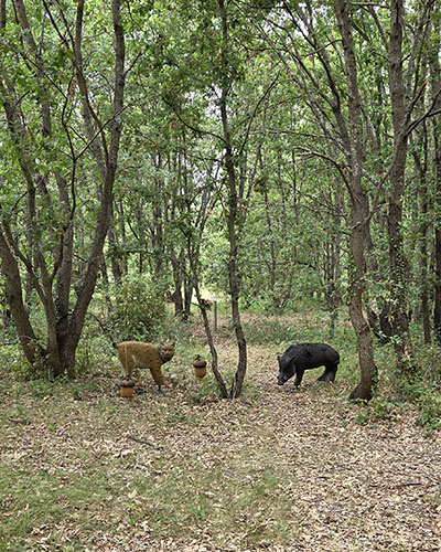 Teambuilding Teambuilding